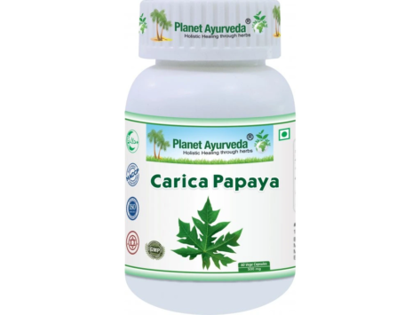 254_planetayurveda-caricapapaya
