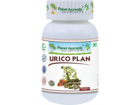 662_urico-plan