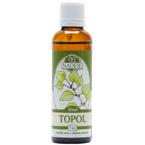t42-topol