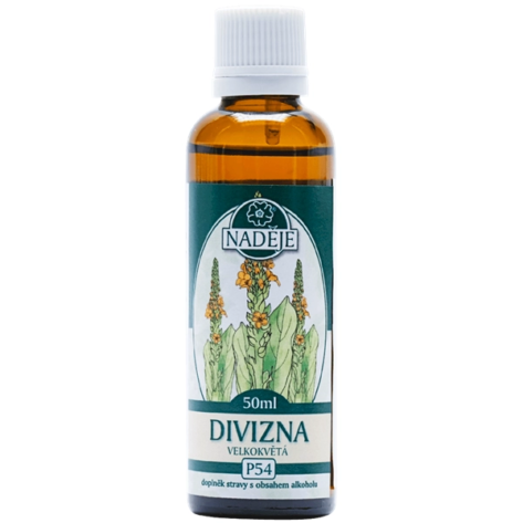 p54-divizna