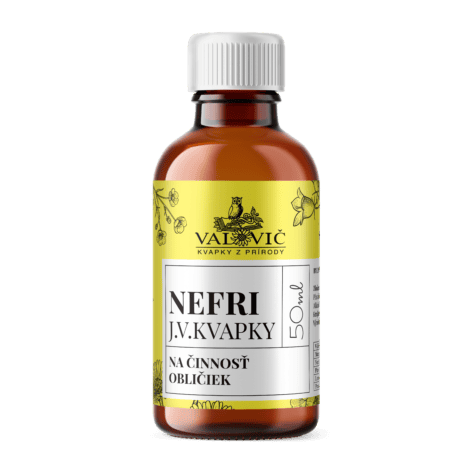 nefri02