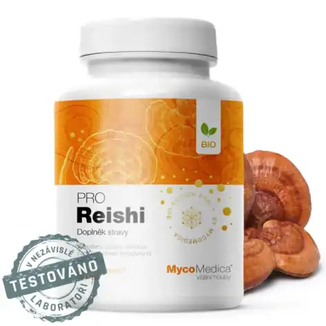 reishi-detail-s-razitkem-kopie.3478291057